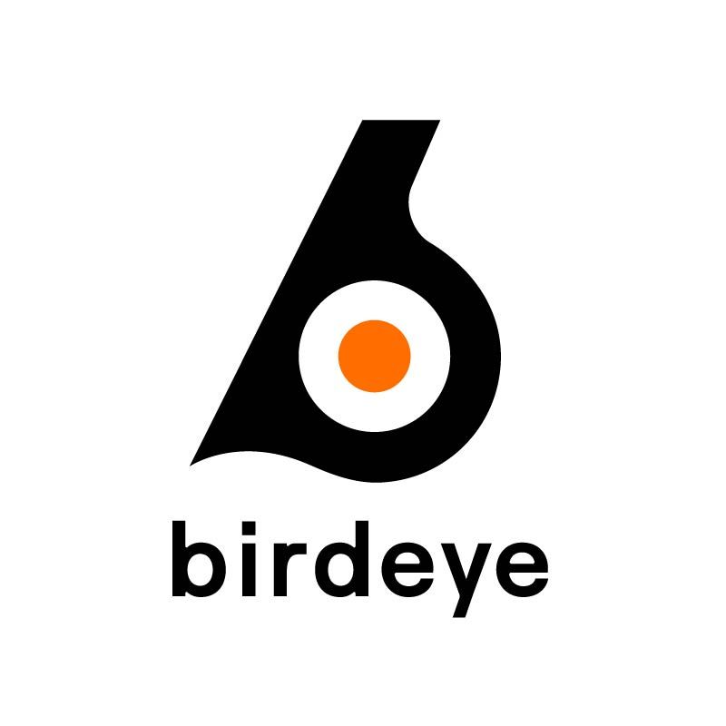 Birdeye logo